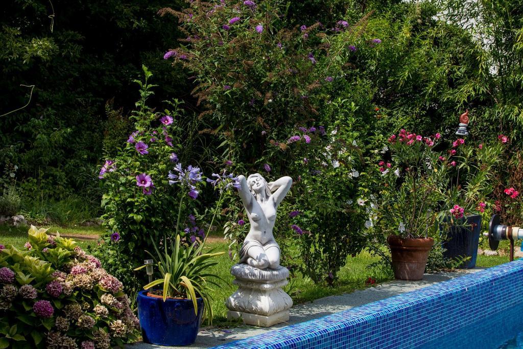 Villa Sonnenschein Hévíz Rom bilde